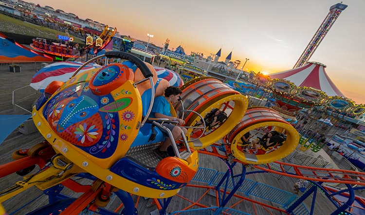 Xolo Loca at Casino Pier