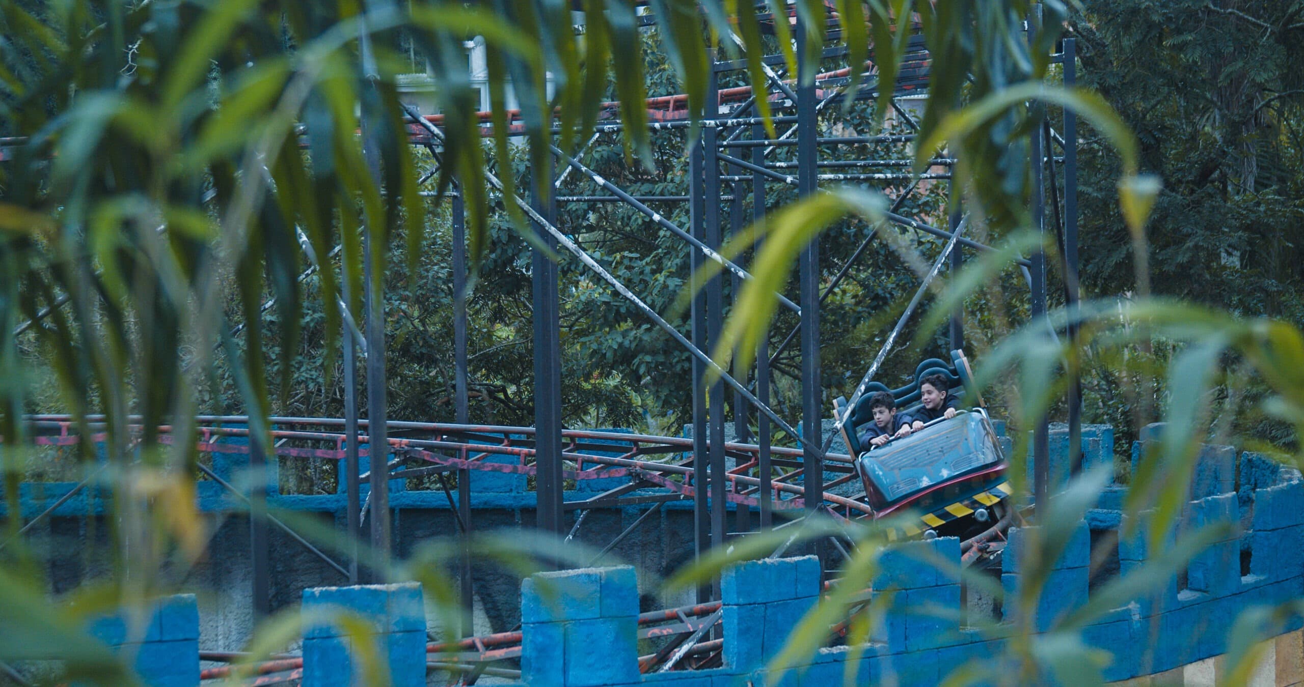 Cyclone at Animália Park