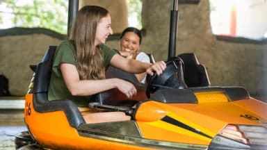 Ubanga Banga Bumper Cars at Busch Gardens Tampa Bay