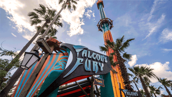 Falcons Fury at Busch Gardens Tampa Bay