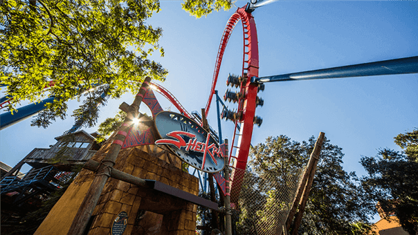 SheiKra at Busch Gardens Tampa Bay