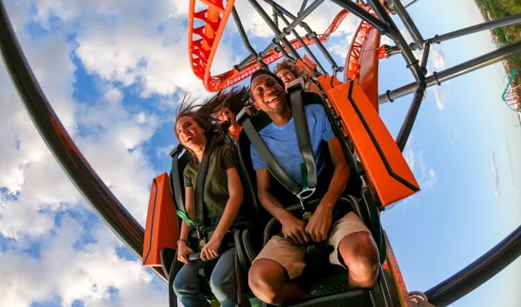 Tigris at Busch Gardens Tampa Bay