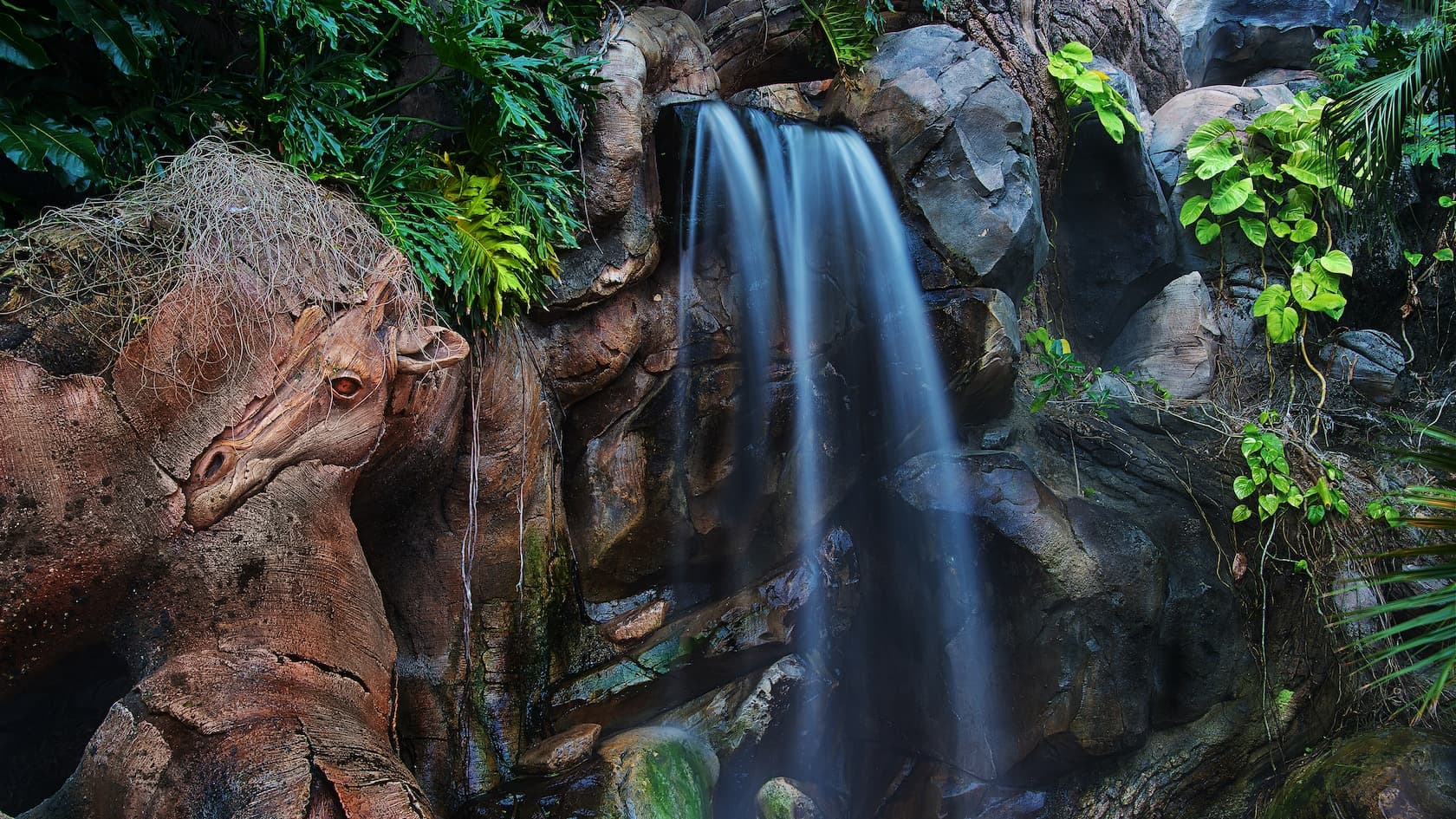 Discovery Island Trails at Disney's Animal Kingdom Theme Park
