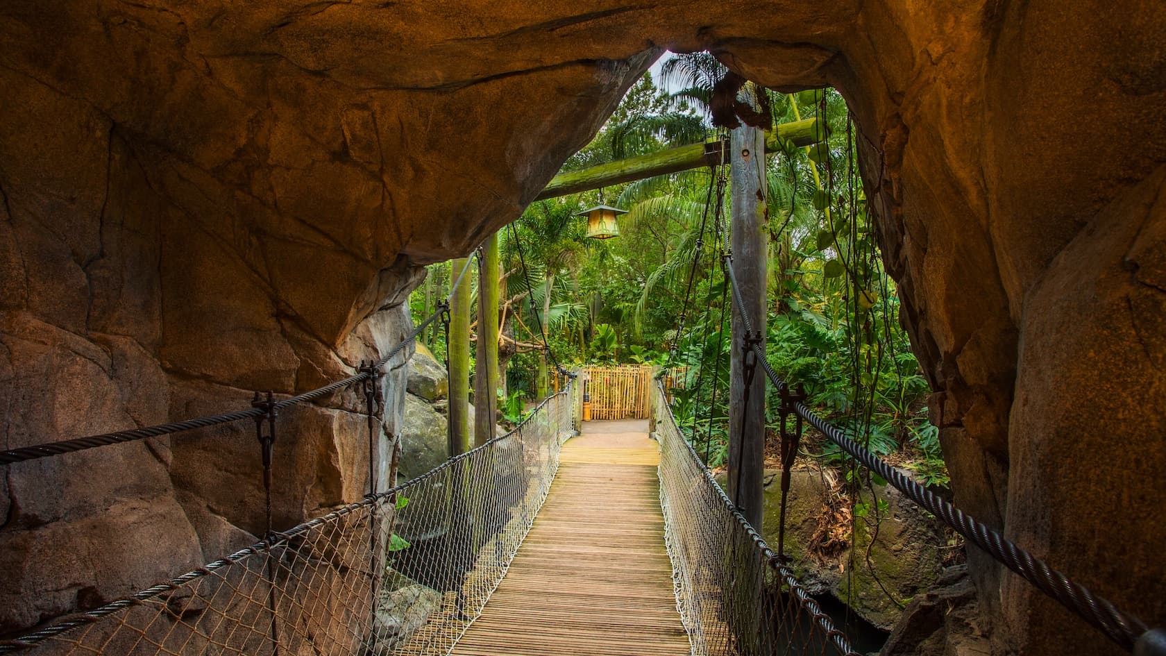 The Oasis Exhibits at Disney's Animal Kingdom Theme Park
