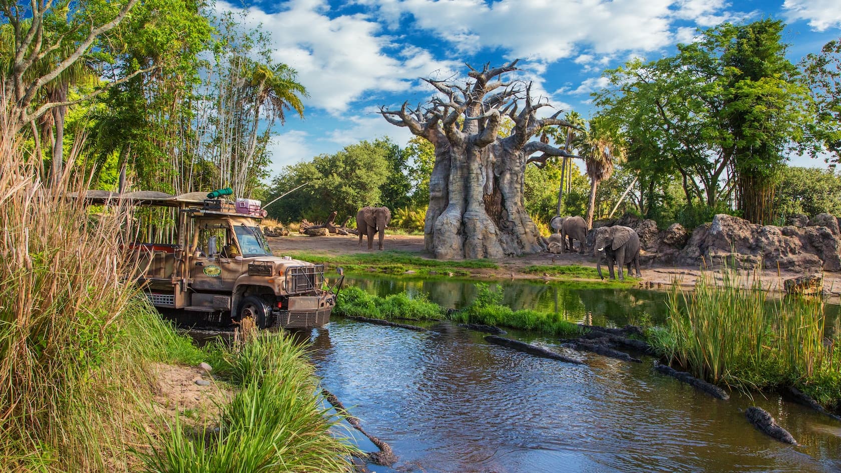 Kilimanjaro Safaris at Disney's Animal Kingdom Theme Park