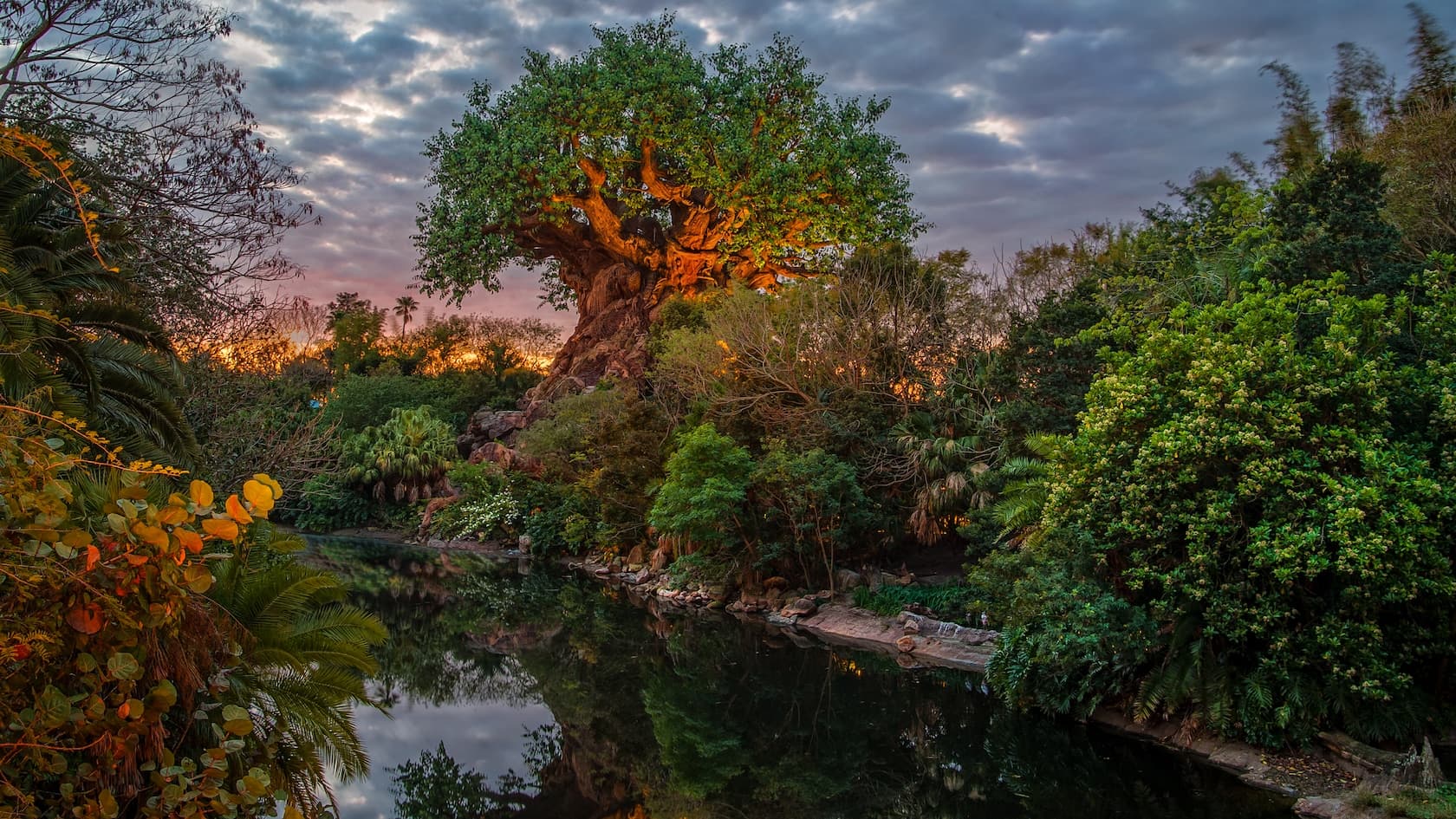 Tree of Life at Disney's Animal Kingdom Theme Park