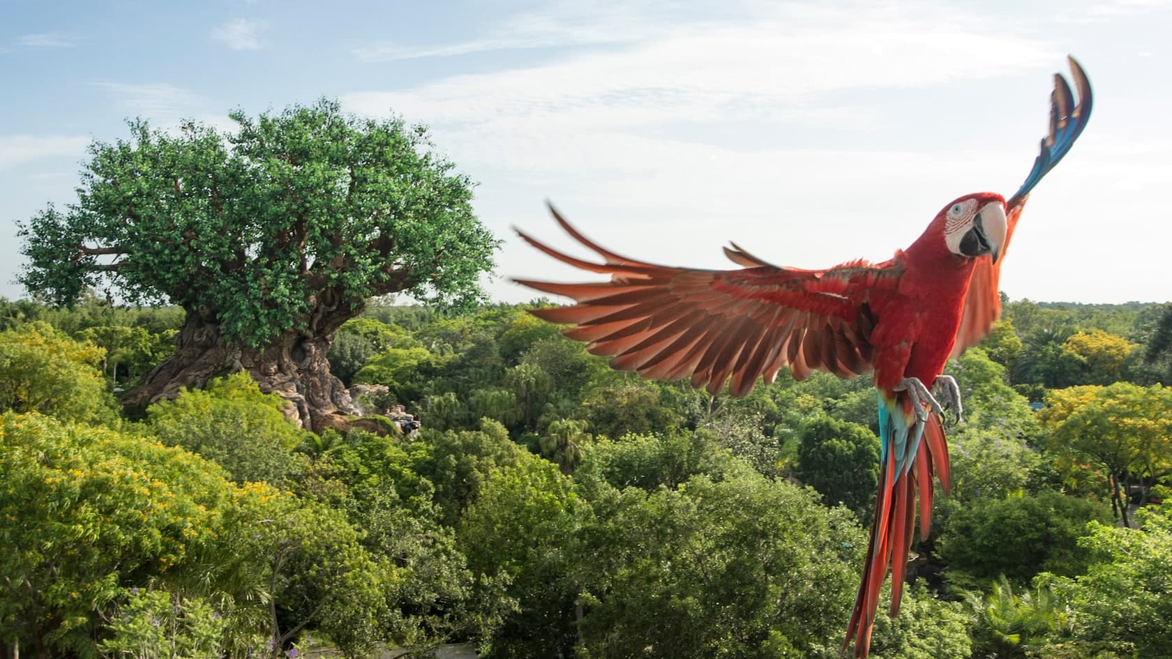 Winged Encounters – The Kingdom Takes Flight at Disney's Animal Kingdom Theme Park