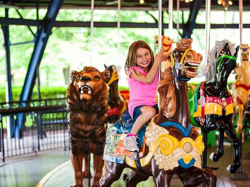 Merry-Go-Round