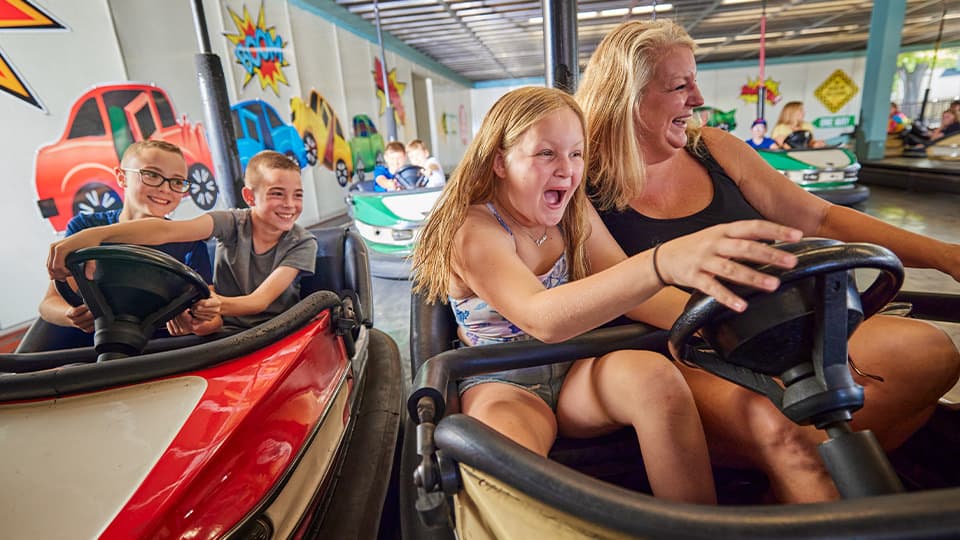 Bumper Cars