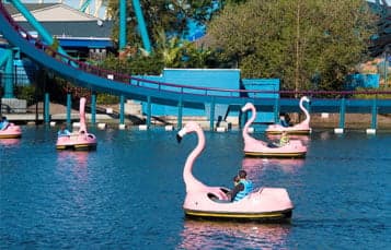 Paddle Boats at SeaWorld Orlando
