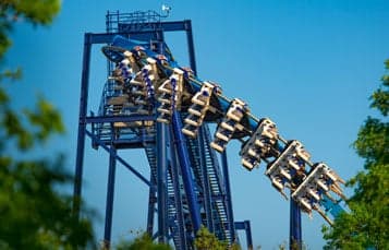 Great White at SeaWorld San Antonio