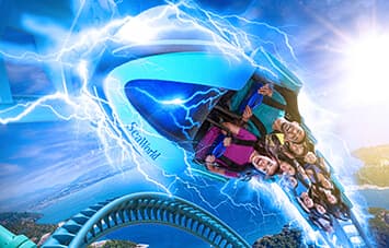 Electric Eel at SeaWorld San Diego